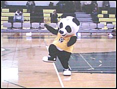 panda mascot 
dancing -  8 seconds at 
youtube.com  - taken 2007.