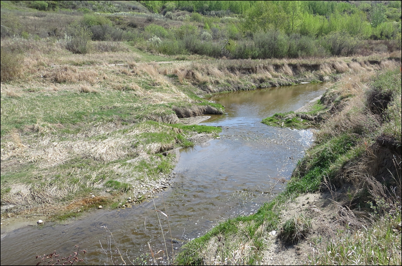The Kneehills creek.   (18 kb)
