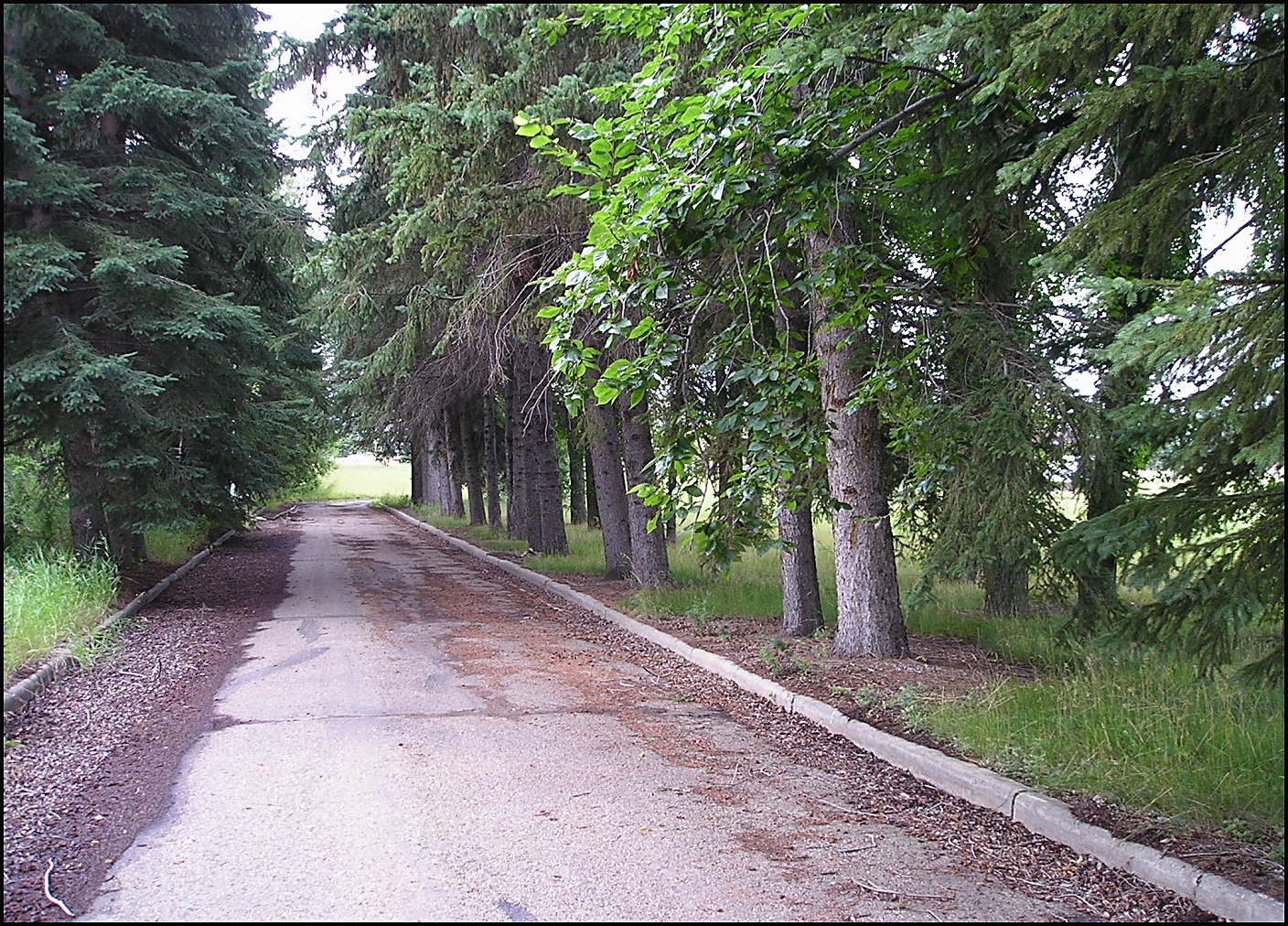 willow lane, 
in Ponoka, Alberta - 1.408 Mb