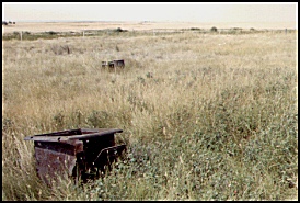 school yard in 1985