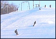 photo taken 2005 or 2006 
in the city of Edmonton at the 
Edmonton Ski Club (110 kb).